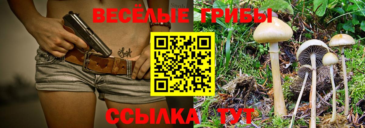 Галлюциногенные грибы Psilocybe  Вход с VPN  Мытищи 