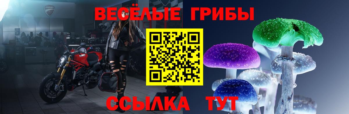 Псилоцибиновые грибы мухоморы Мытищи